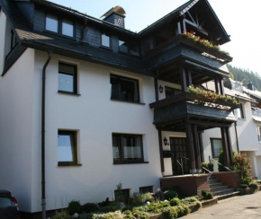 Ferienwohnung Ortsmitte-Willingen